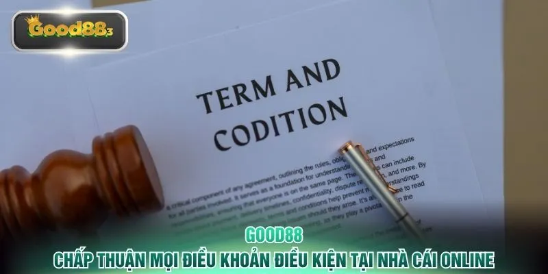 Chấp thuận mọi điều khoản điều kiện tại nhà cái online