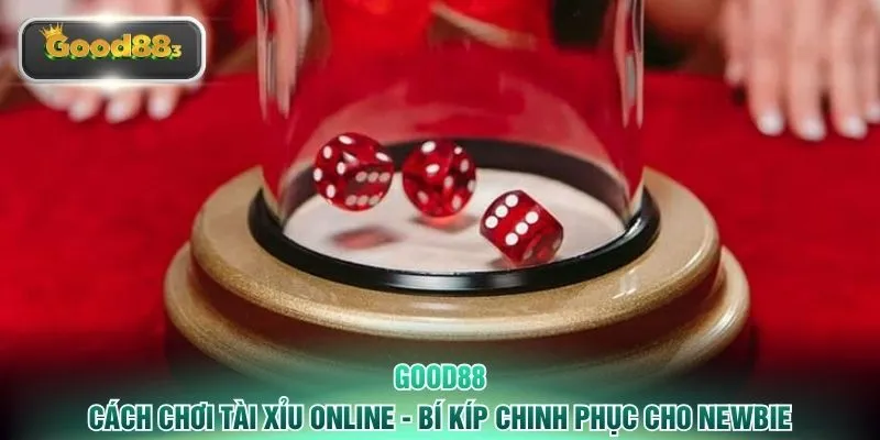 Cách Chơi Tài Xỉu Online - Bí Kíp Chinh Phục Cho Newbie